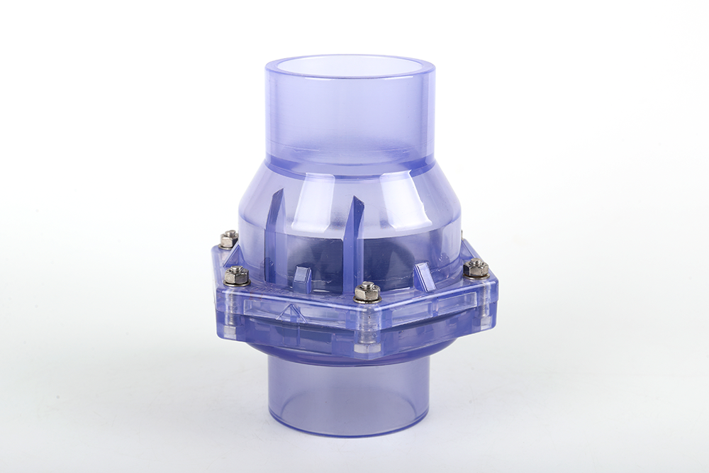 曲阳透明翻板式止回阀